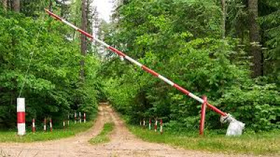 В Бобруйском районе снят запрет на посещение лесов