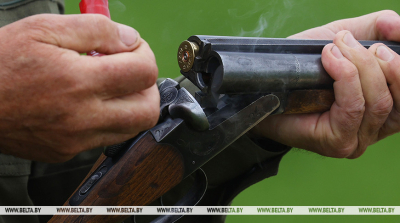 Сезон охоты на рысь открыт в Беларуси впервые за 40 лет