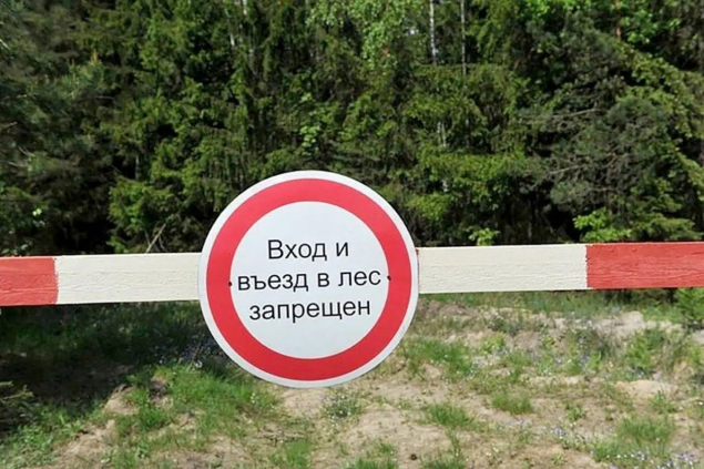 С 25 апреля в Бобруйском районе введен запрет на посещение лесов