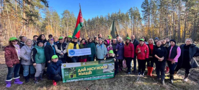 В Беларуси продолжается акция «Дай лесу новае жыццё»