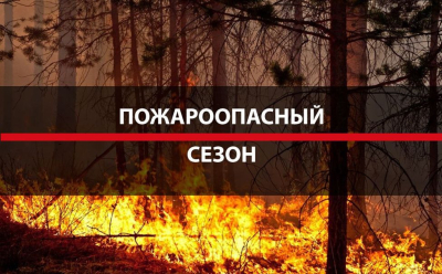 Бобруйский лесхоз информирует: