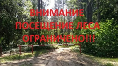 БОБРУЙСКИЙ ЛЕСХОЗ НАПОМИНАЕТ,