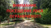 БОБРУЙСКИЙ ЛЕСХОЗ НАПОМИНАЕТ,